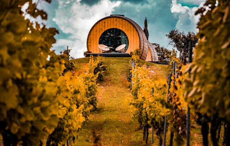 Wine Barrels, na Quinta da Pacheca, no Douro, em Lamego e de cara virada para o Peso da Régua.