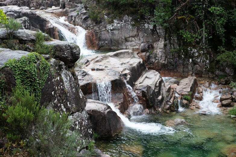 Mata da Albergaria (Gerês)